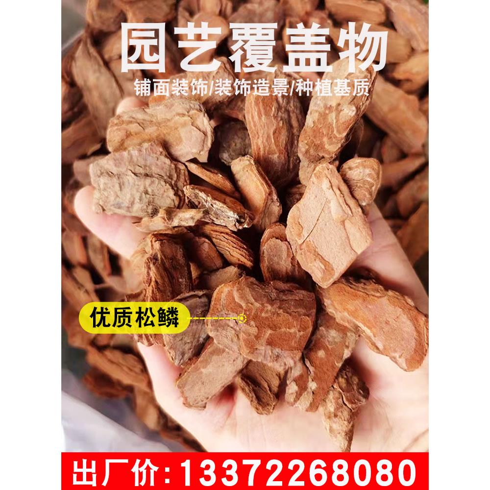 打磨松鳞松树皮有机覆盖物树穴树坑花园庭院别墅造景土壤覆土抑草