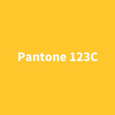 潘通系列自喷漆Pantone 123C/1235C/124C 明亮黄色/橘黄/暗黄色