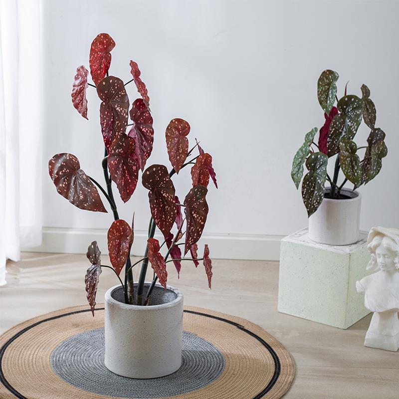 仿真鳟鱼秋海棠粉旗鱼海威进口网红假绿植盆栽室内欧式植花卉摆件