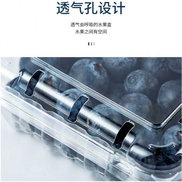 一次性水果盒子带盖透明塑料蓝莓盒500克包装盒一斤装水果包装盒