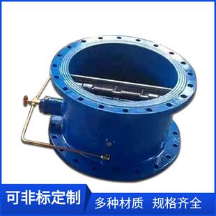 HH49X-10Q球磨铸铁微阻缓闭蝶式止回阀DN400微阻止回阀DN350500