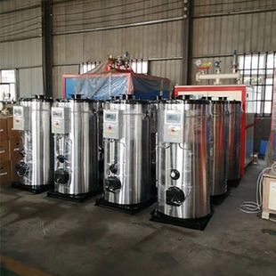 厂家直供燃油燃气蒸汽发生器小型油田汽车蒸汽清洗燃气锅炉