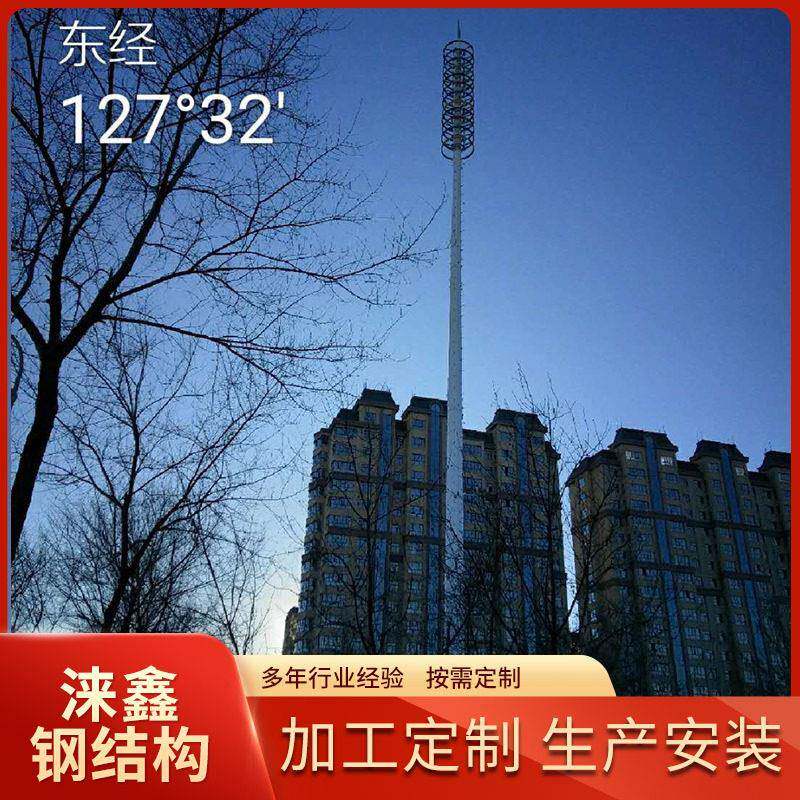 监控管塔景观塔楼顶通信塔灯杆型景观化塔钢塔景观化设计钢构