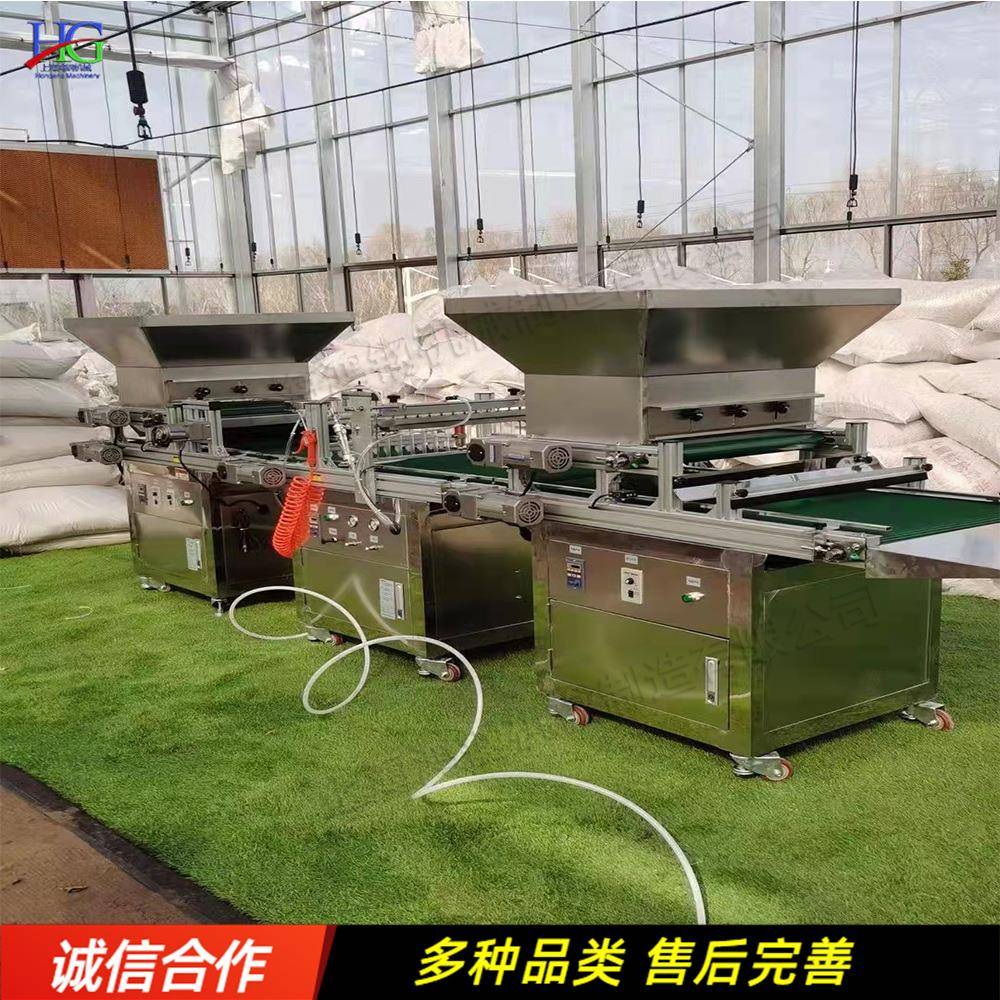 全自动穴盘育苗机 辣椒白菜秧苗压穴播种机 蔬菜花卉种子点播机