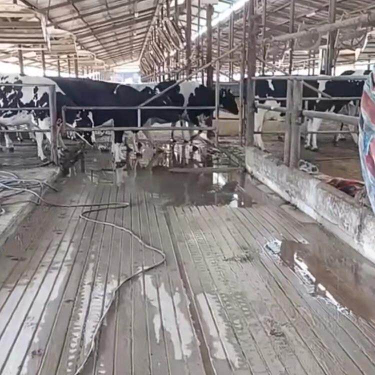 手推式柴油奶牛场用刻槽机1.5公分腾宇混凝土路面用刻纹加宽加大