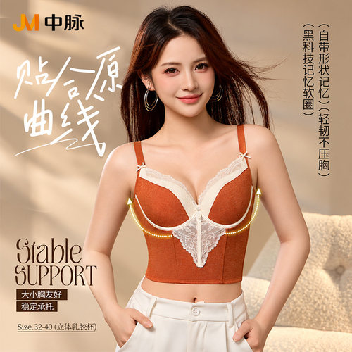 JM/中脉蕾丝内衣收副乳承托聚拢美背塑型女士长款束身文胸1616