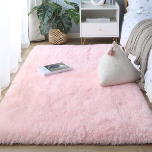 家用卧室地毯加厚白色毛绒床边毯房间客厅in风毛毯地垫定制