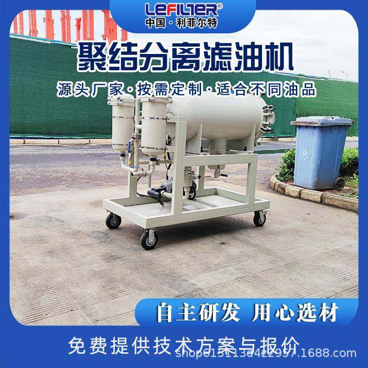 旁路聚结脱水滤油机 油水分离过滤器 储蓄罐LYC系列