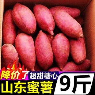 山东西瓜红蜜薯糖心烤红薯9斤小红薯瑶新鲜板栗地瓜沙地农家番薯
