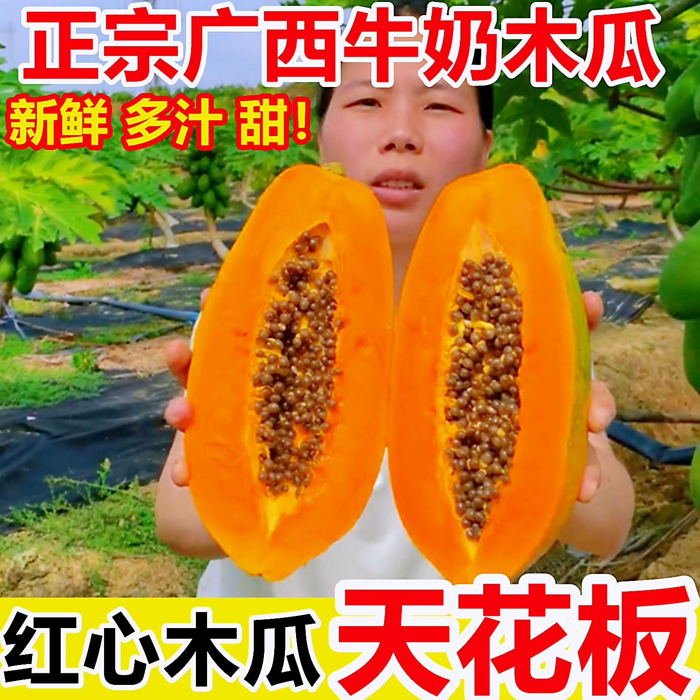 广西红心牛奶木瓜冰糖心应当季青新鲜水果10斤整箱树上熟孕妇即食