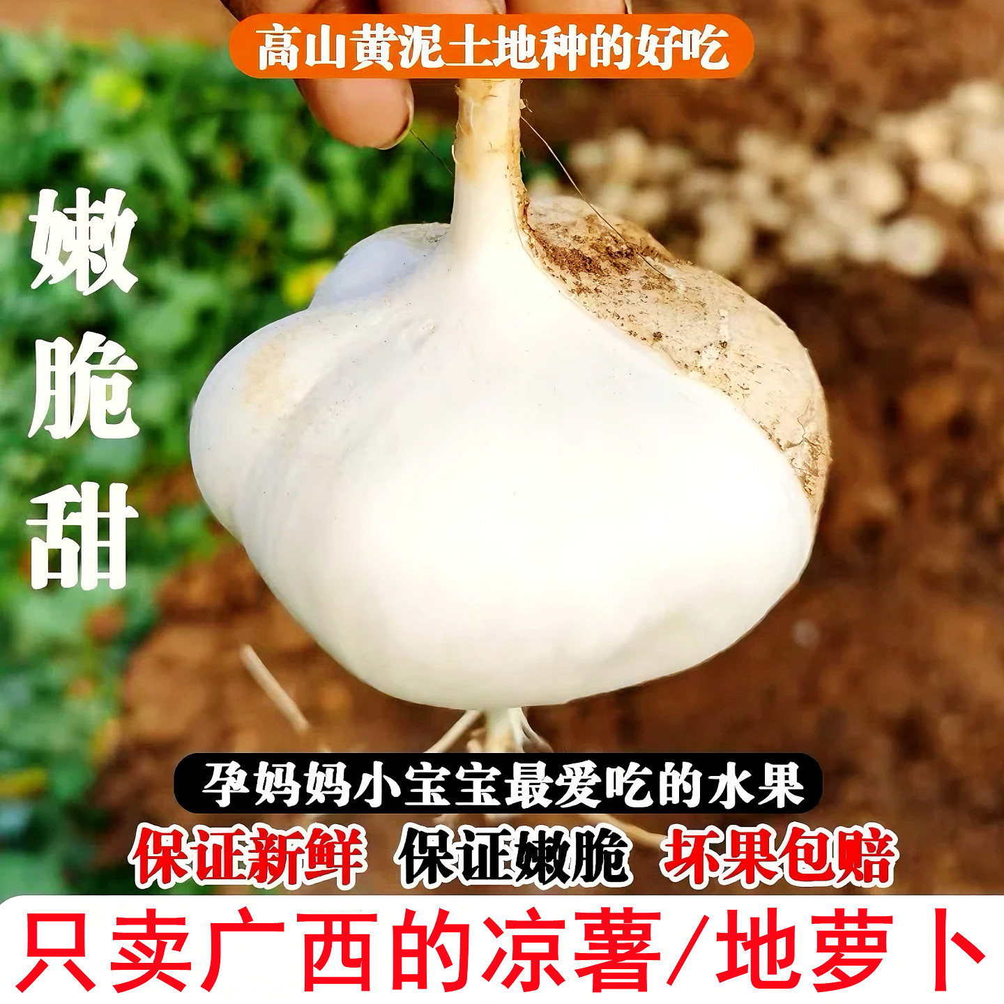 广西凉薯新鲜脆甜10斤沙葛白地瓜地萝卜农家红薯当季水果蔬菜整箱,水产肉类/新鲜蔬果/熟食,番薯,淘宝优惠券,粉丝福利购,淘宝优惠卷