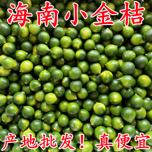 【海南小青桔金桔】已上热销榜！