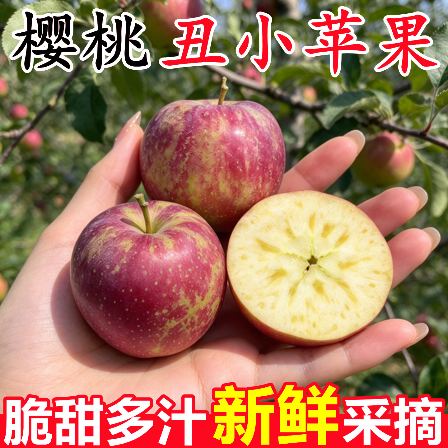 【樱桃丑小苹果】已上热销榜！