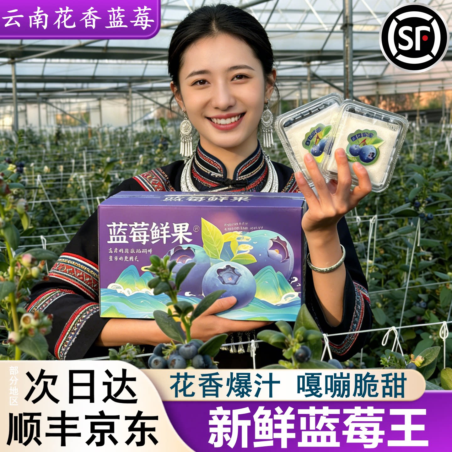 云南花香蓝莓新鲜水果特大果怡颗当季现货l25孕妇水果顺丰次日达