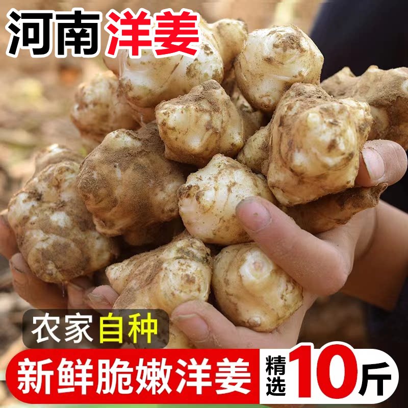 【新鲜优质洋姜】已上热销榜!