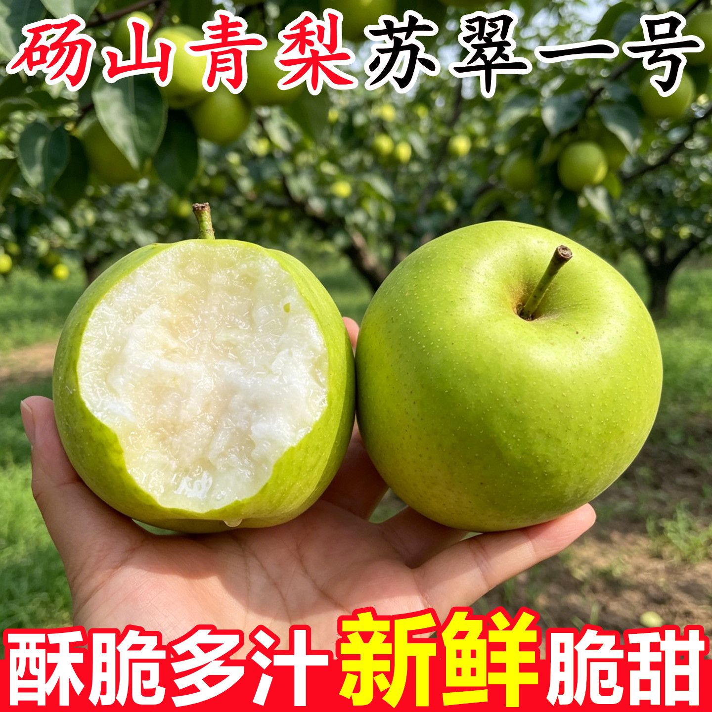 【正宗砀山青梨】已上热销榜！