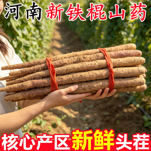 2026年正宗河南新铁棍山药