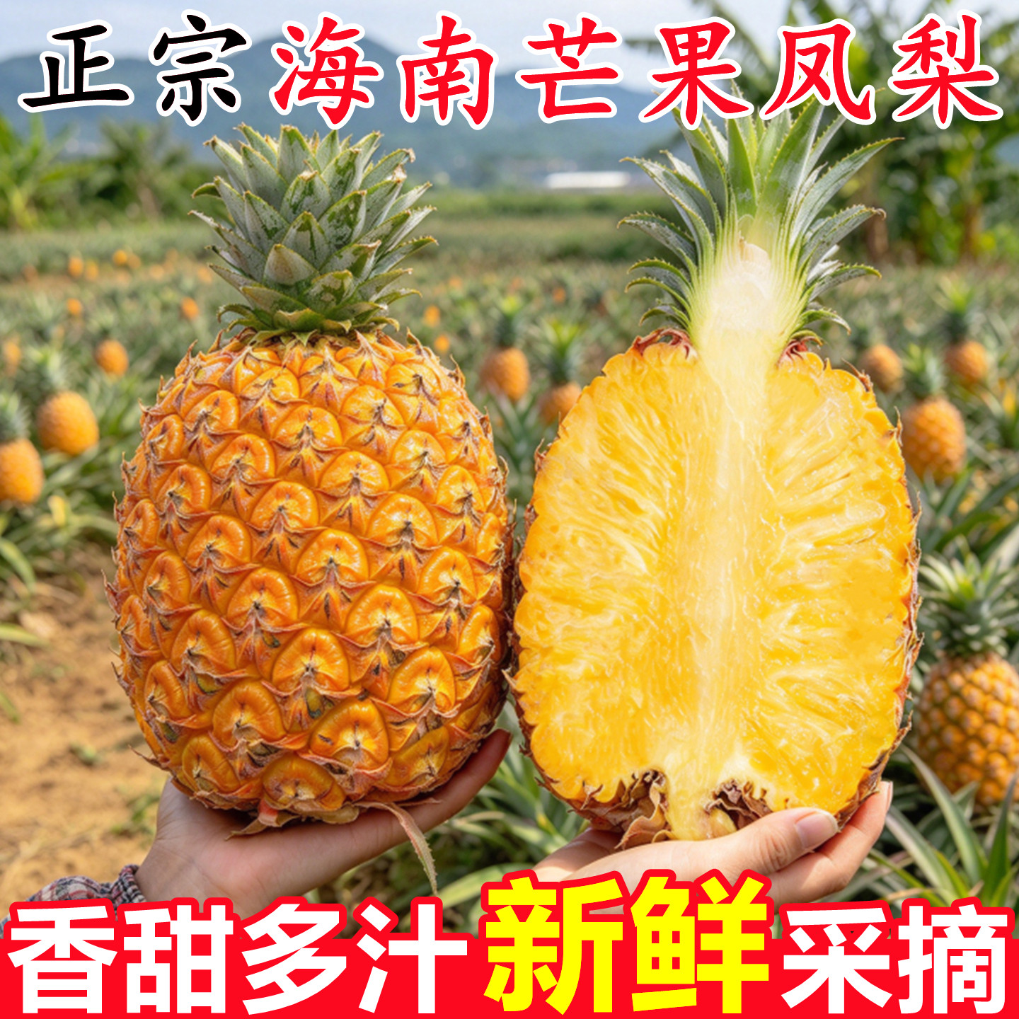 正宗海南芒果凤梨新鲜水果9斤当季时令热带孕妇水果整箱台农23号