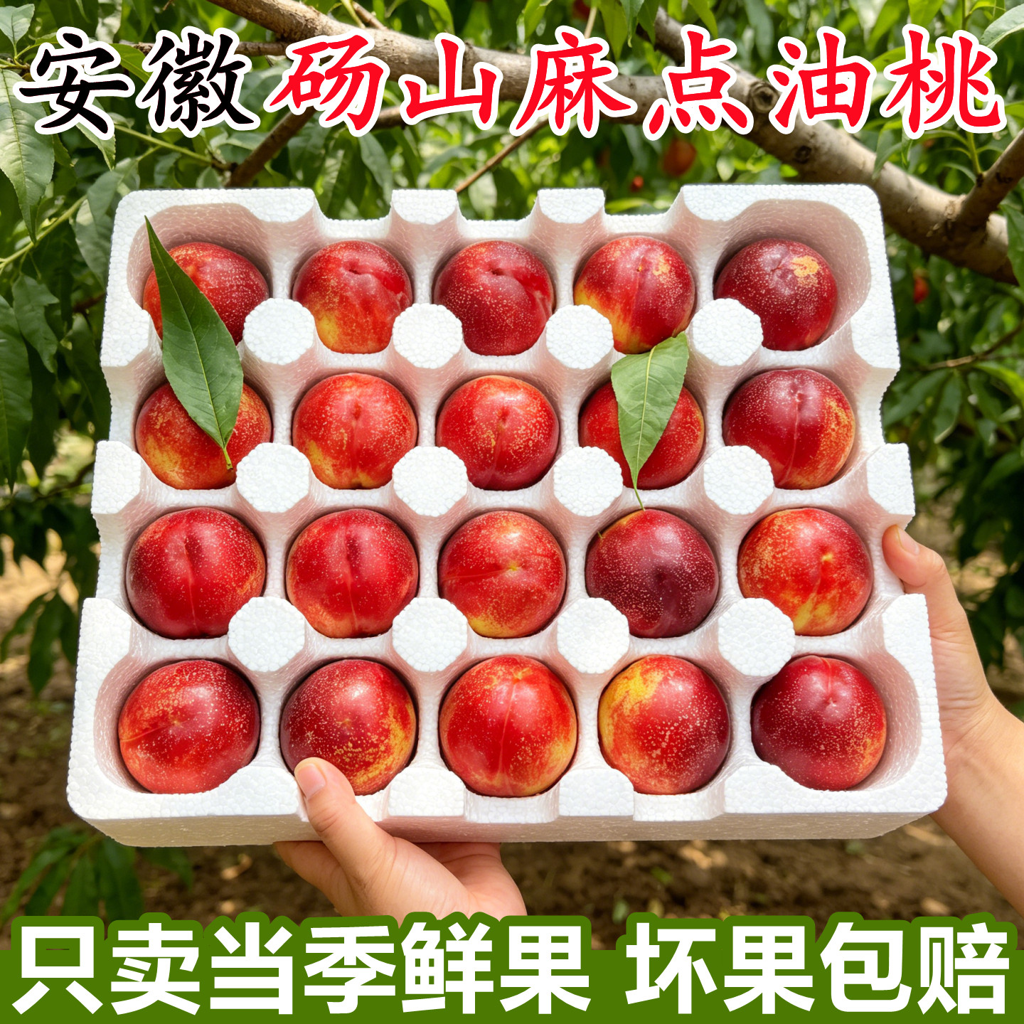 正宗安徽砀山麻点油桃新鲜水果当季时令10斤红皮黄肉黄金油桃整箱