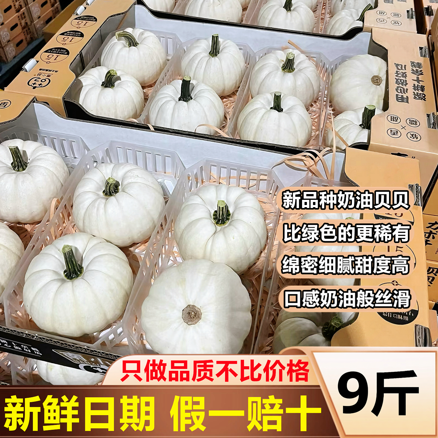 【正宗奶油贝贝南瓜】官方推荐！