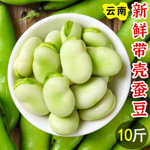 云南保山绿心蚕豆新鲜带壳超嫩！