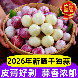 云南紫皮独头蒜5斤新鲜农家大蒜头干蒜独蒜鲜蒜特大果批发农家蒜