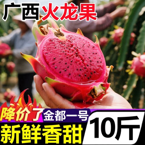【广西红心火龙果】已上热销榜！