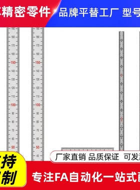 BLR51/52/55/56/61/62/65/66-L100 200 300 零下零中纵向刻度标尺