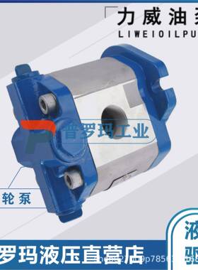 合肥力威1032300111转向油泵中联重科大吊车转向泵QC40/15-WP12
