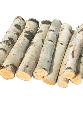 木墩子凳子原木木头树桩摆件天然枯木树桩白桦树干木段根雕换鞋凳