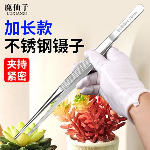 多肉专用镊子修理园艺加长不锈钢弯圆头夹种花枯叶修理微景观工具