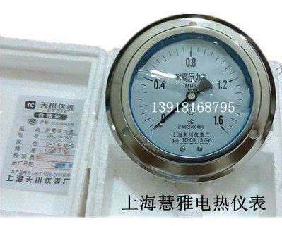 耐震压力表YN-100ZT轴向带边压力表0-1/1.6/2.5/4/6MPA 上海天川