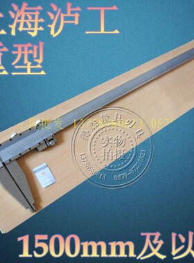 上海泸工游标卡尺-3000mm 0.02mm 重型 卡尺头可以调节位移