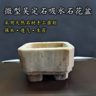 吴定石吸水石花盆 多肉菖蒲文竹石斛透气上水石小豆盆一物一拍