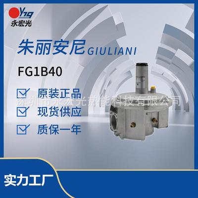 FG1B40 出口350-450 mbar中低压稳压阀朱利安尼giulianianello