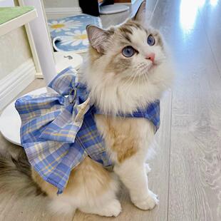 牵引绳布偶金渐层比熊外出宠物猫遛狗绳 猫咪牵引绳jk格子裙背心式