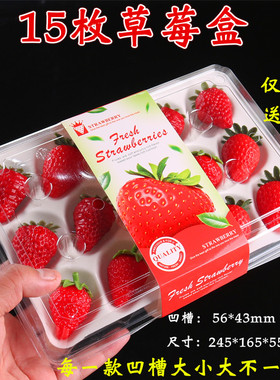 一次性草莓礼盒透明塑料防震水果包装盒高档可快递分格果蔬打包盒