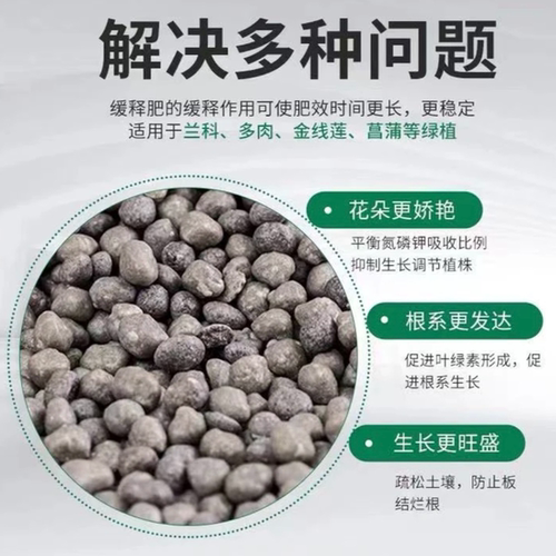 好康多 奥绿 专用大花蕙兰 石斛兰 蝴蝶兰 君子兰等