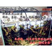 包邮 鱼缸自动保湿 器背滤底滤海缸补草水海缸自动电子补神水器鱼缸