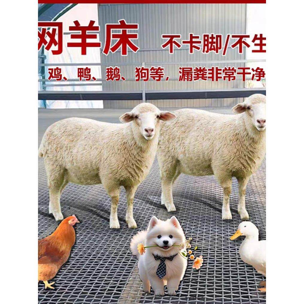 热镀锌钢丝网羊床漏粪网鸡鸭鹅养殖底网防锈加粗狗笼底网养羊钢网