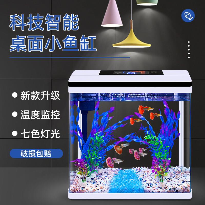 桌面20长智能斗鱼缸客厅2025新款小型家用生态金鱼缸造景小水族箱