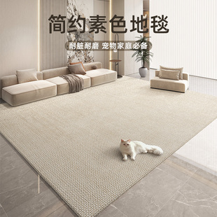 轻奢高级感室内毯子耐脏茶几垫子地垫家用沙发毯 地毯客厅2024新款