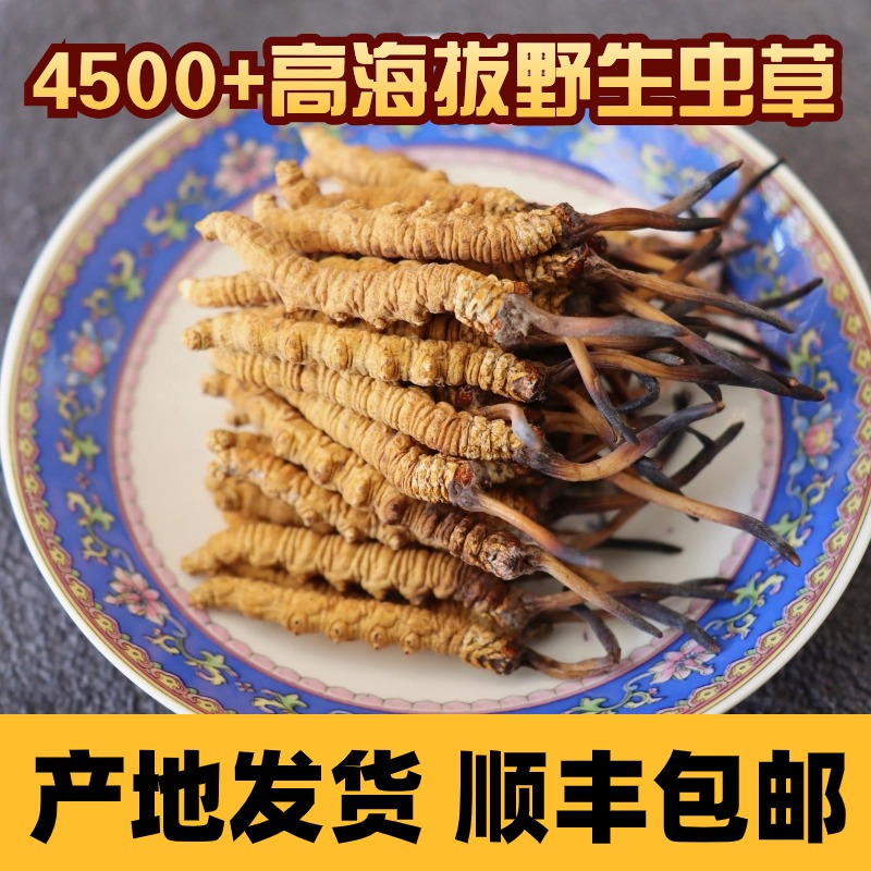 【小草约5根1克】西藏那曲玉树虫草野生冬虫夏草礼盒无断虫草