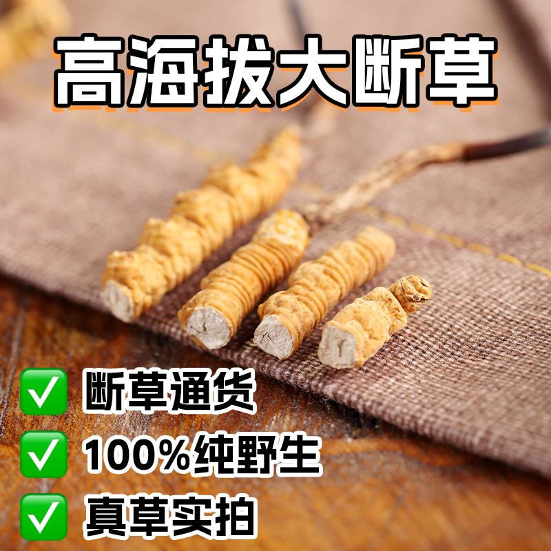 【超值断草】西藏那曲野生冬虫夏草虫草大断草10克装干货断