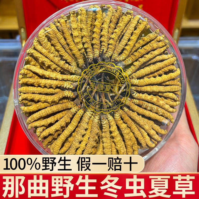[]冬虫夏草10根单只装40干