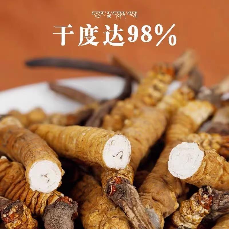 【处理断草】断虫冬虫夏草非西藏那曲野生虫草干货