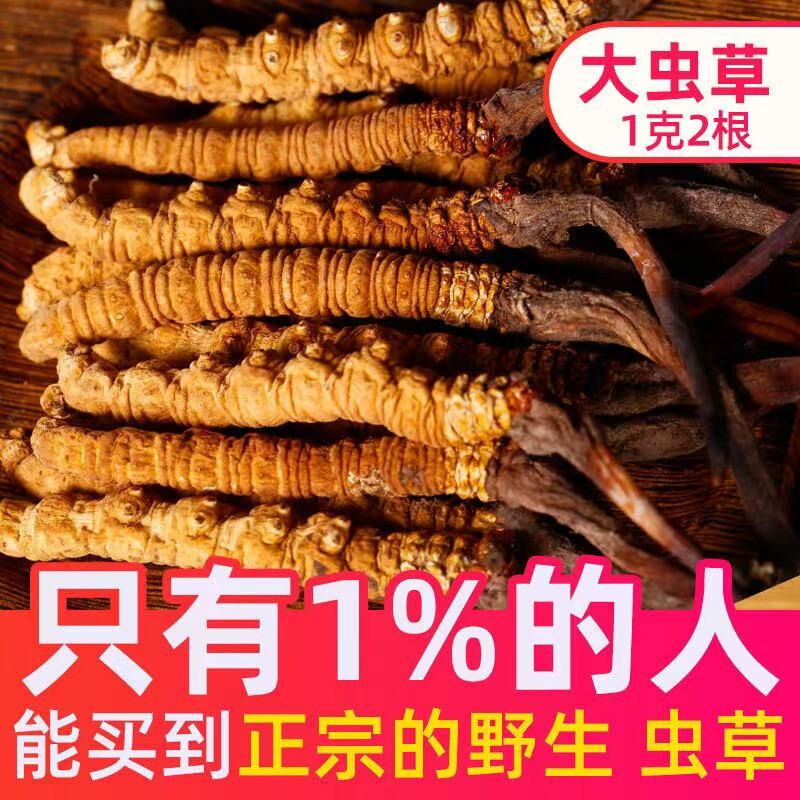 冬虫夏草高海拔野生虫草乾货非断草西藏那曲10克礼盒装