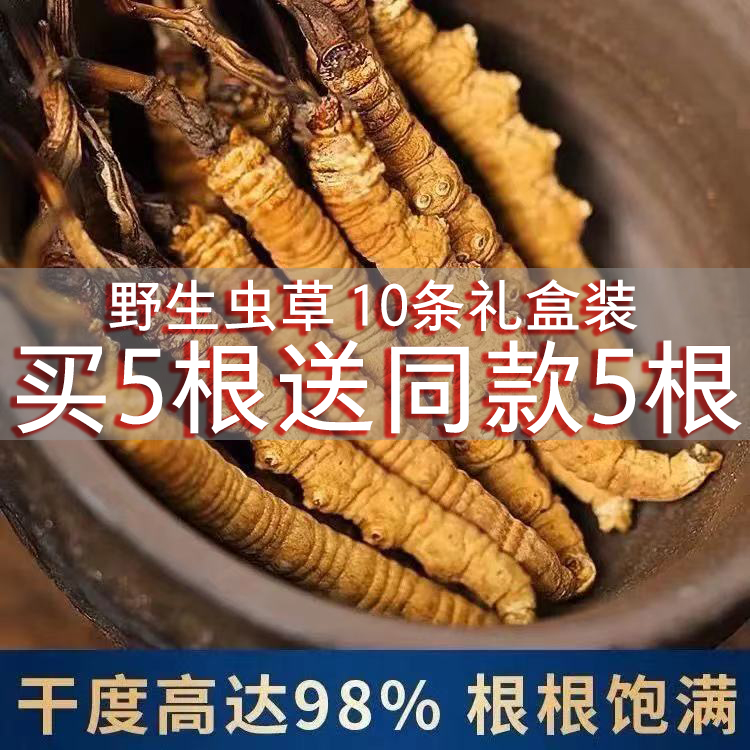 虫草野生新鲜干货泡酒非断草西藏特产那曲冬虫夏草礼盒装送礼