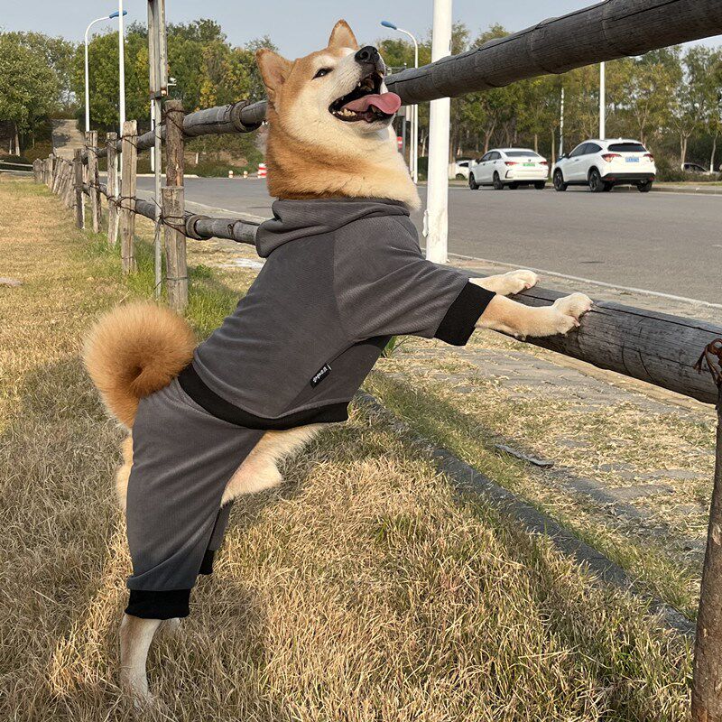 中大型犬衣服拉布拉多春秋狗卫衣新款宠物保暖冬季金毛柴犬四脚衣