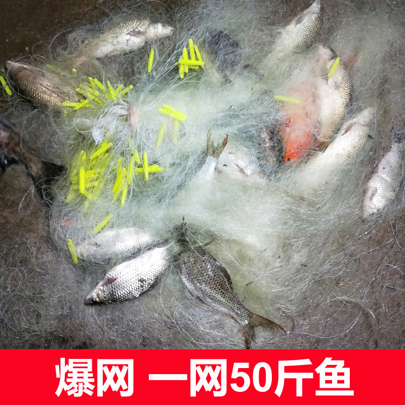 鱼网粘网三层渔网丝网沉网进口黄丝加重鲫鱼鲤鱼鲢鱼网自动捕粘鱼